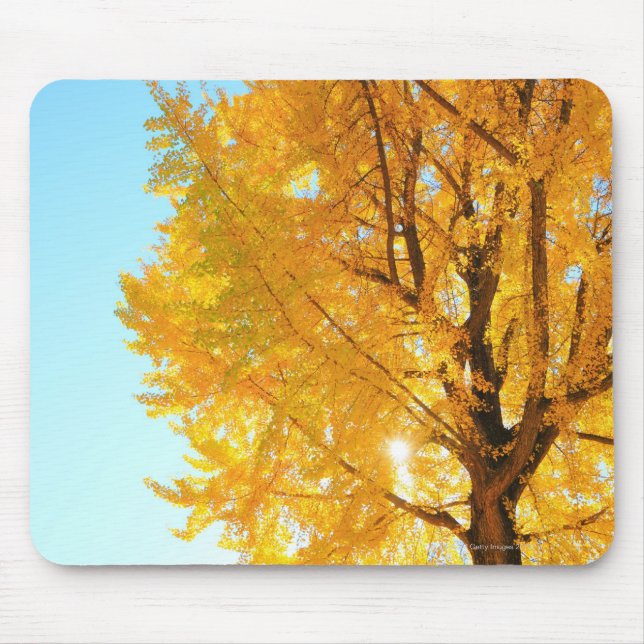 Mousepad Gingko Tree, distrito de Nagano, Japão (Frente)