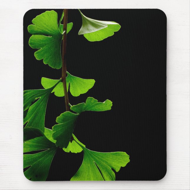 Mousepad Ginkgo_Biloba_Leaves_-_Black_Background (Frente)