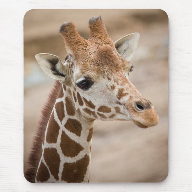 Mousepad girafa (Frente)