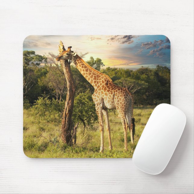 Mousepad Girafa (Com mouse)