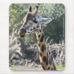 Mousepad Girafa
