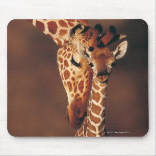 Mousepad Girafa adulto com vitela (camelopardalis do