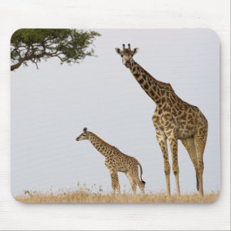 Mousepad Girafa Calf and mãe