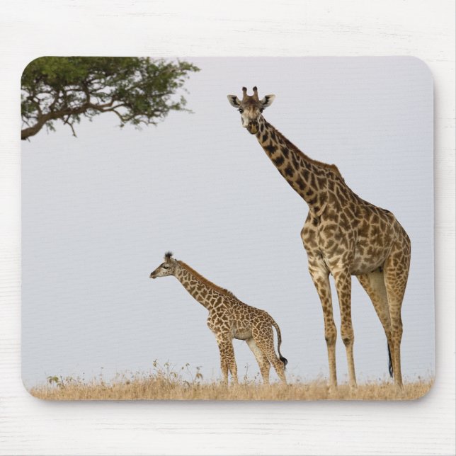 Mousepad Girafa Calf and mãe (Frente)