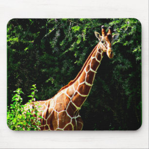 Mousepad Girafa de Samburu