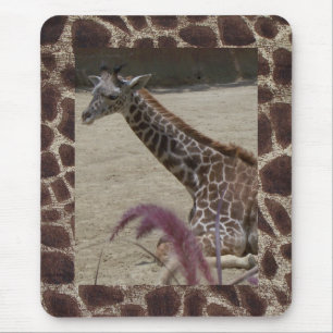 Mousepad Girafa em repouso