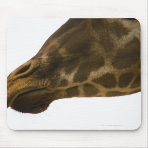 Mousepad Girafa, fim acima