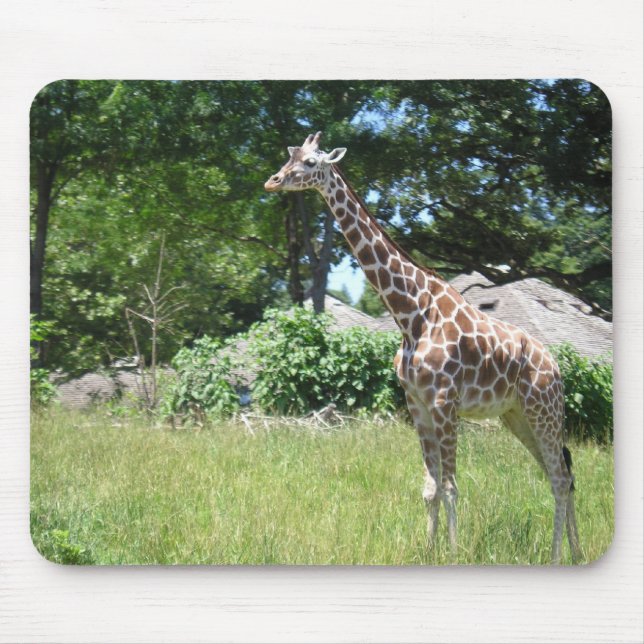 Mousepad Girafa no selvagem (Frente)