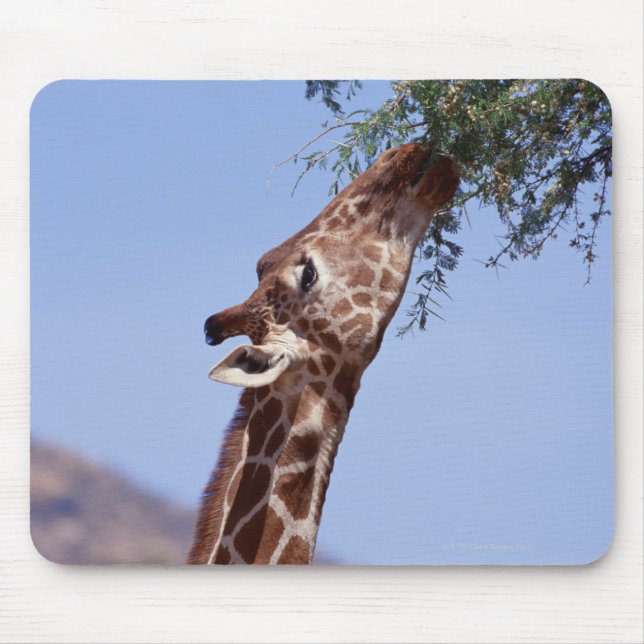 Mousepad Girafa Reticulada (Frente)