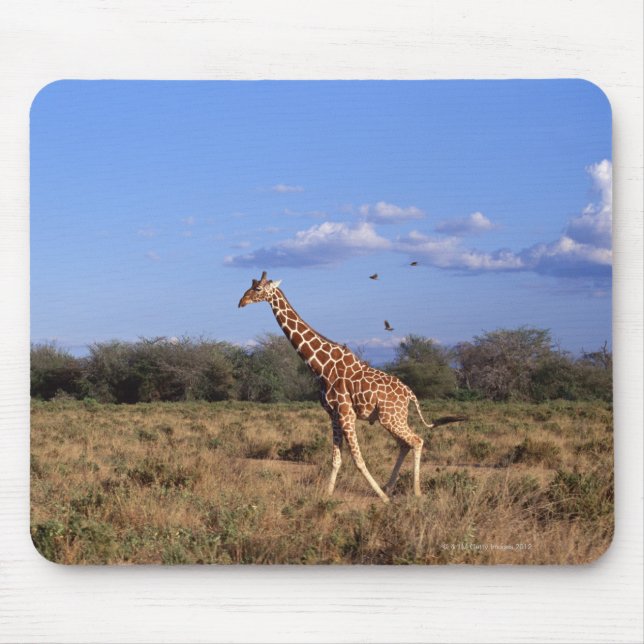 Mousepad Girafa Reticulada (Frente)