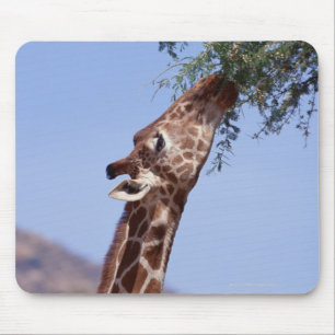 Mousepad Girafa Reticulated