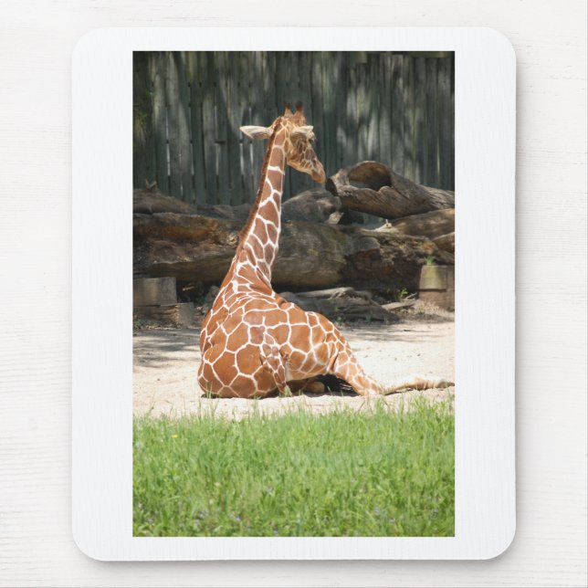Mousepad Girafa Sentada Adorável (Frente)