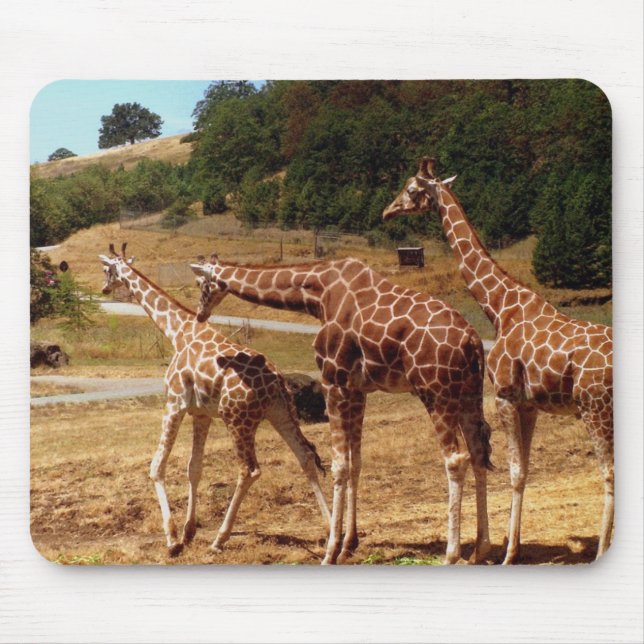 Mousepad Girafas (Frente)