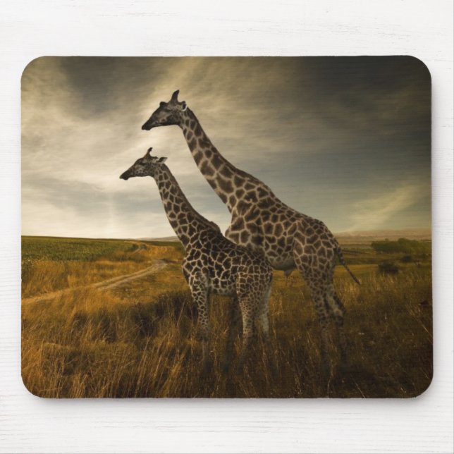 Mousepad Girafas e a paisagem (Frente)