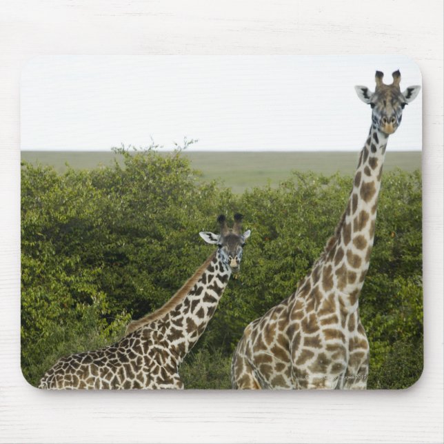 Mousepad Girafas no Quênia, África 2 (Frente)