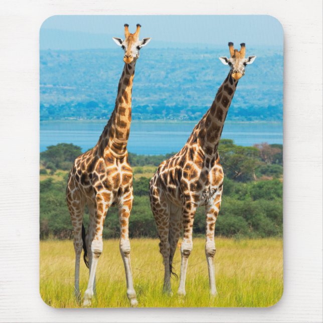 Mousepad Girafas no Savana, Uganda (Frente)
