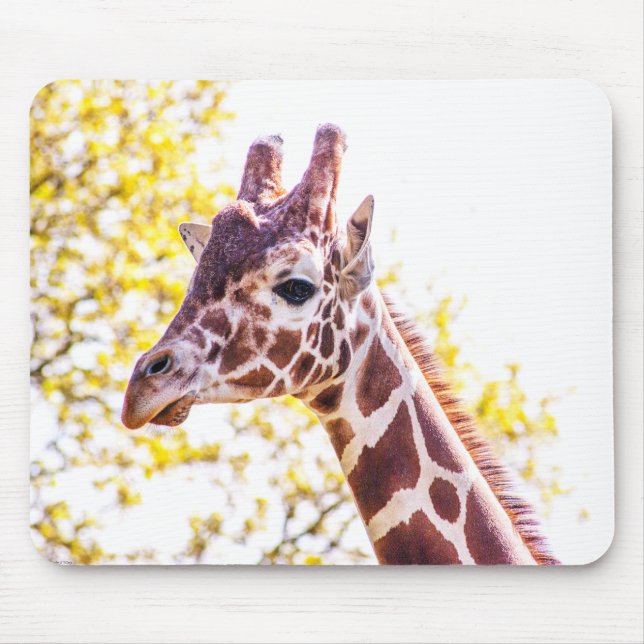 Mousepad Giraffe Portrait (Frente)