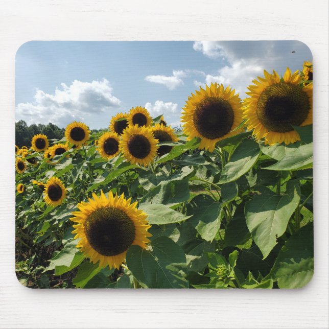 Mousepad Girassóis (Frente)