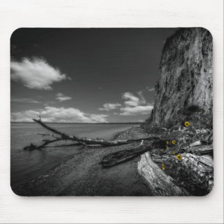 Mousepad Girassóis ao longo do Rio Missouri