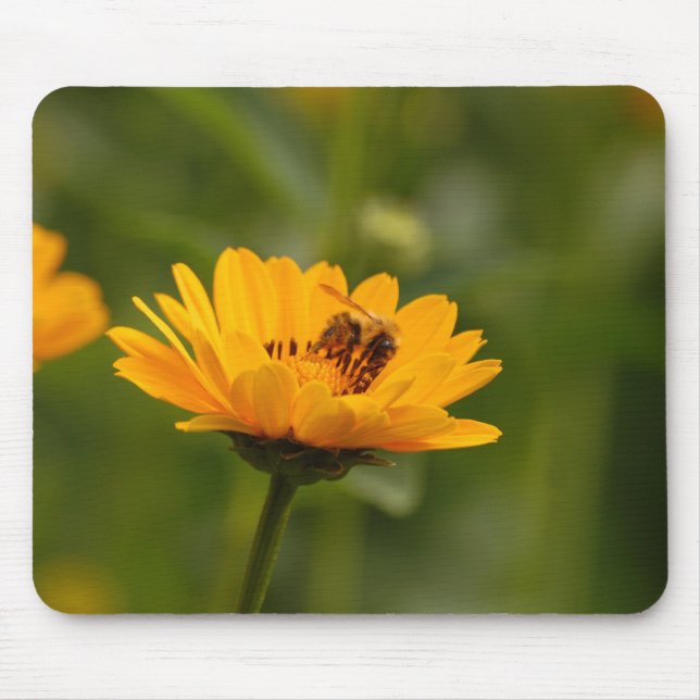 Mousepad Girassóis com abelha (Frente)