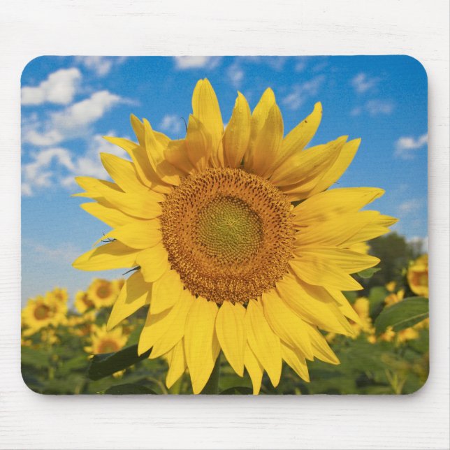 Mousepad Girassol (Frente)