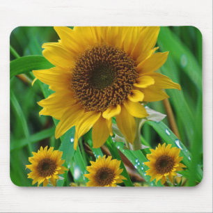 Mousepad Girassol