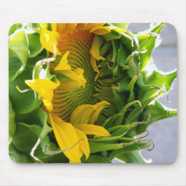 Mousepad Girassol (Frente)