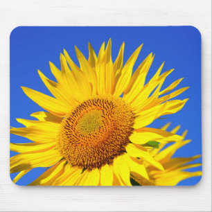 Mousepad Girassol