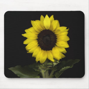 Mousepad Girassol 11