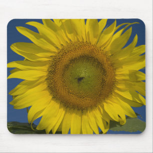 Mousepad Girassol amarelo