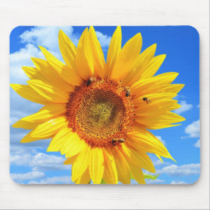 Mousepad Girassol Amarelo e Abelhas no Pad do Mouse Azul Sk