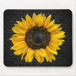 Mousepad girassol amarelo no tijolo