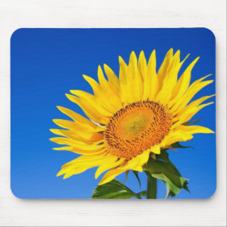 Mousepad Girassol bonito