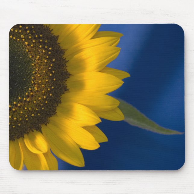Mousepad Girassol em Azul (Frente)