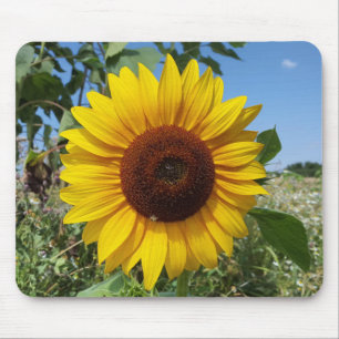 Mousepad Girassol Ensolarado
