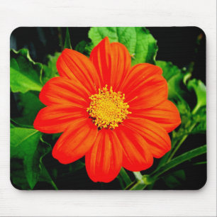 Mousepad Girassol mexicano