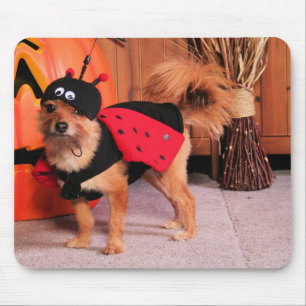 Mousepad Gizzy - YorkiePom - Burbridge