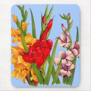 Mousepad gladiola gladiolus