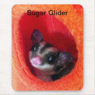 Mousepad Glider de Açúcar na Cama Laranja