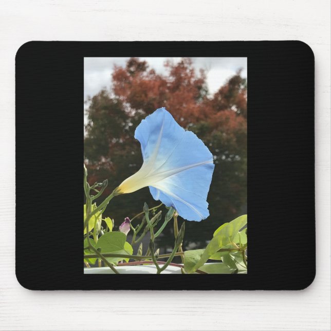Mousepad Glória-da-manhã Azul de Outono (Frente)