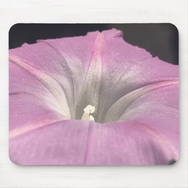 Mousepad Glória-da-manhã de Seda Rosa Close-up (Frente)