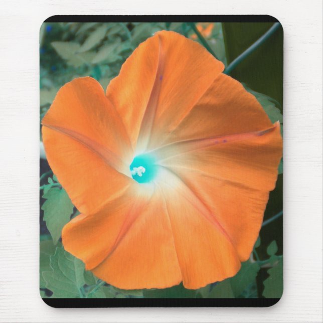 Mousepad Glória da Manhã Laranja (Frente)
