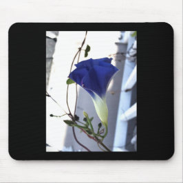 Mousepad Glória-da-manhã Rodopio Índigo