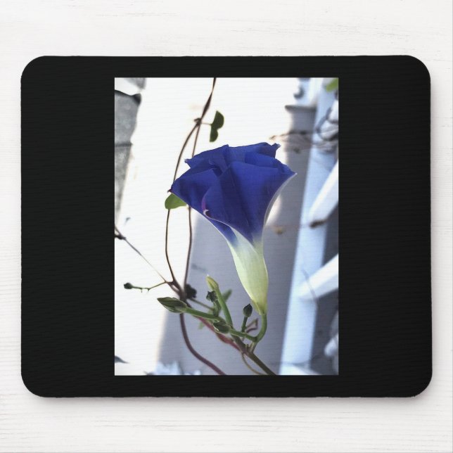 Mousepad Glória-da-manhã Rodopio Índigo (Frente)