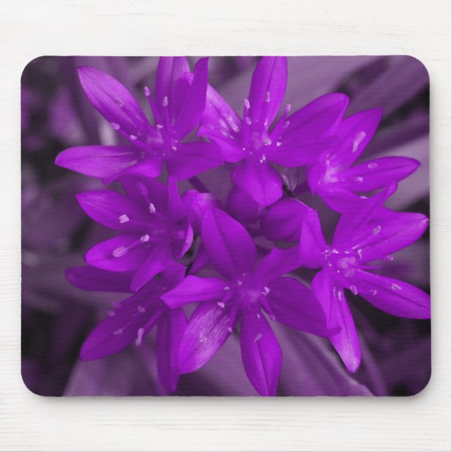Mousepad Glória Do Bocal Roxo Da Neve (Frente)