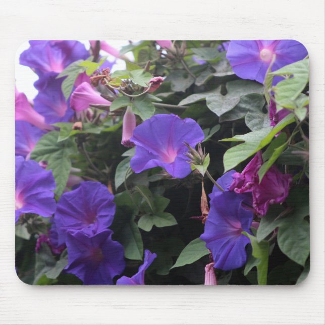 Mousepad Glórias da Manhã Azuis na Primavera (Frente)
