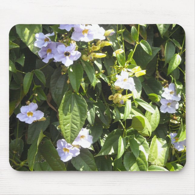 Mousepad Glórias da Manhã Delicadas (Frente)