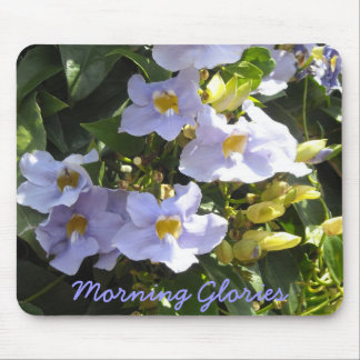 Mousepad Glórias da manhã tropical