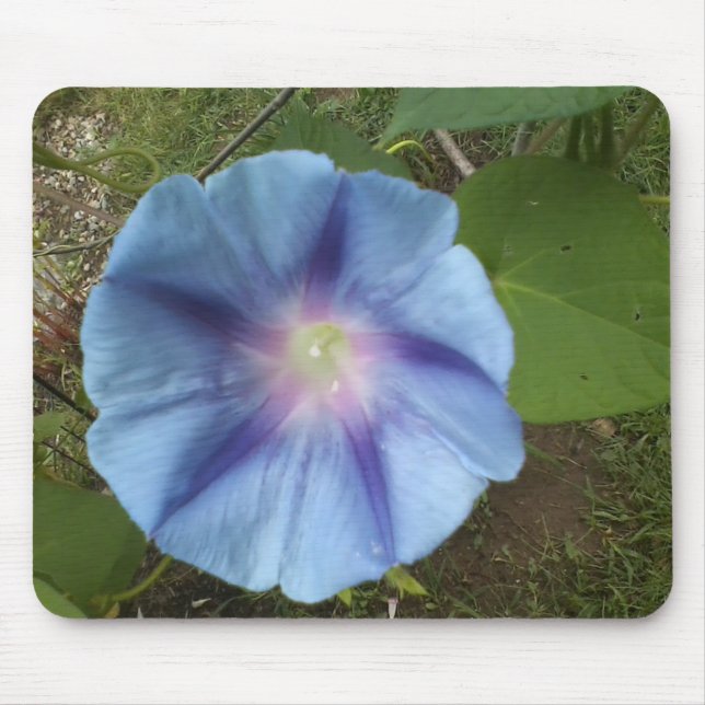 mousepad glorioso de manhã azul (Frente)