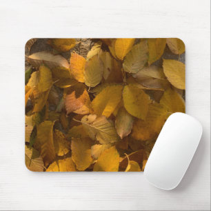 Mousepad Glorioso outono em um Pad de Mouse (1)